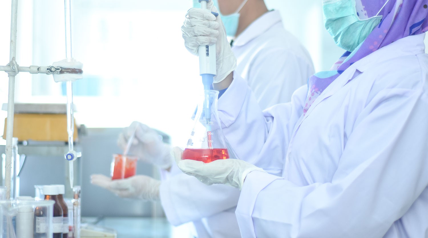 Cabai Segar Rimbaria